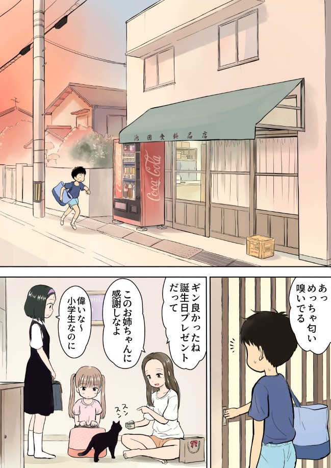 217ページ